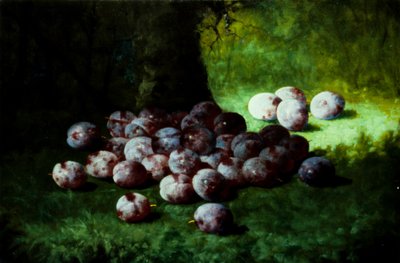 Plums, c.1870 by Carducius Plantagenet Ream